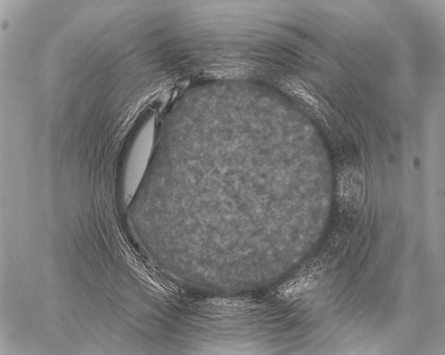 X0000058760733200510211657