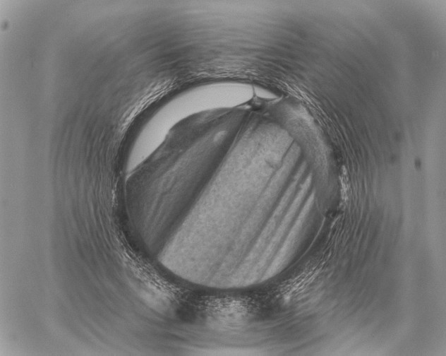 X0000058760735200510211657