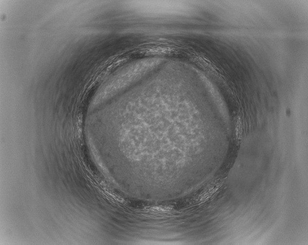 X0000058760737200510211657