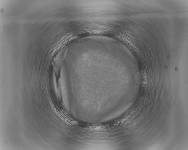 X0000058760738200510211657