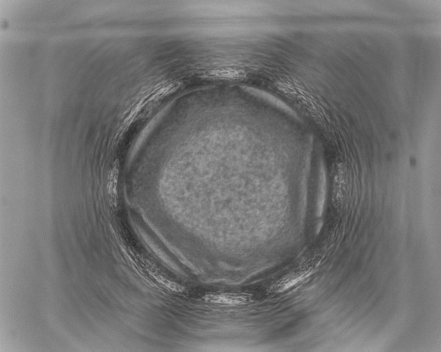 X0000058760739200510211657