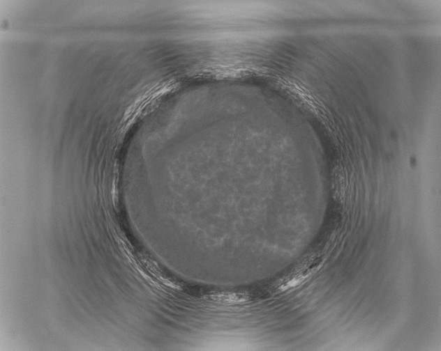 X0000058760740200510211657