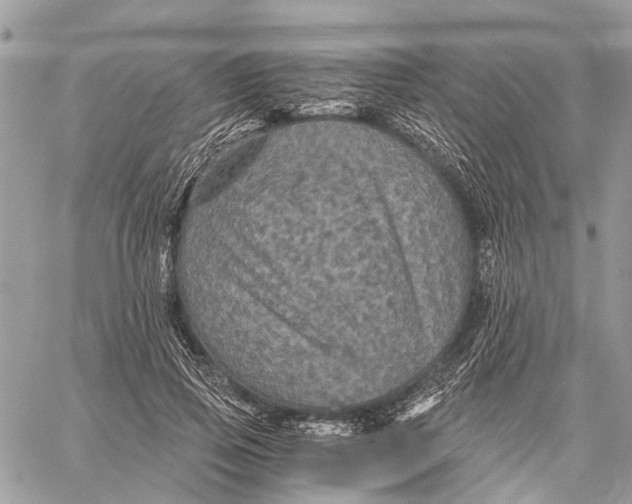 X0000058760741200510211657