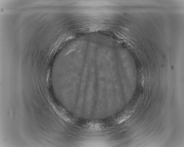 X0000058760742200510211657