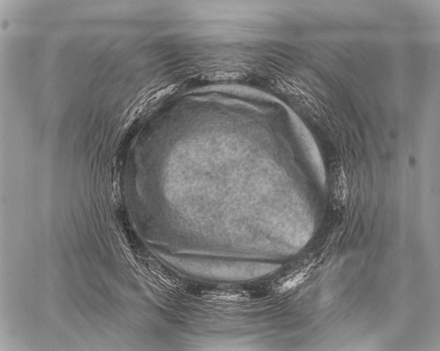 X0000058760743200510211657