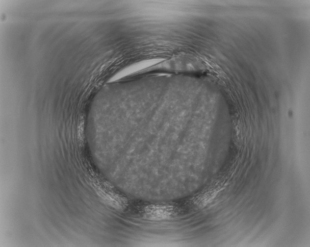 X0000058760745200510211657