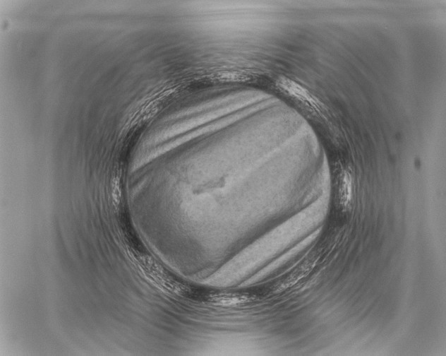 X0000058760746200510211657