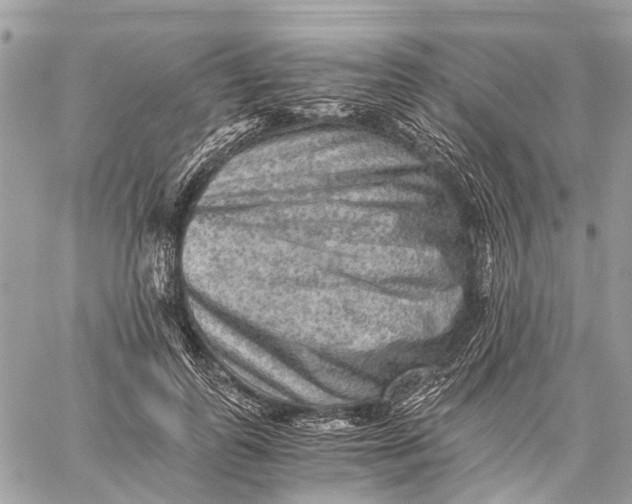 X0000058760747200510211657