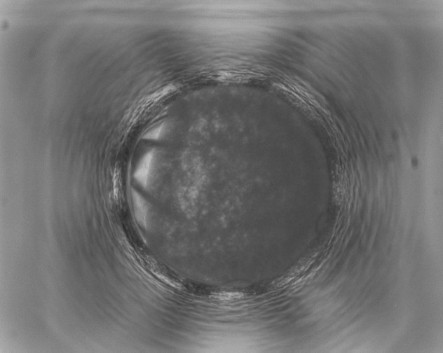 X0000058760748200510211657