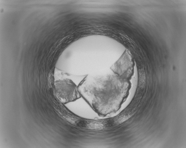 X0000058760749200510211657