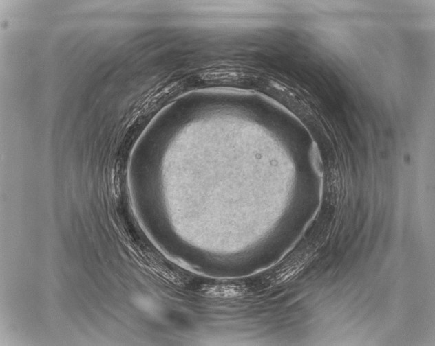 X0000058760751200510211657