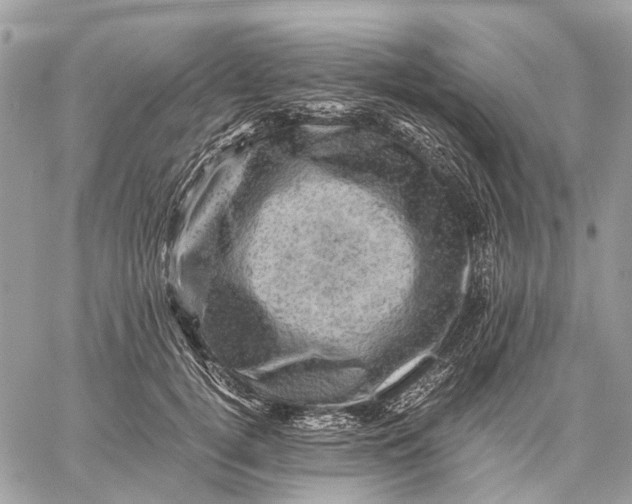 X0000058760752200510211657