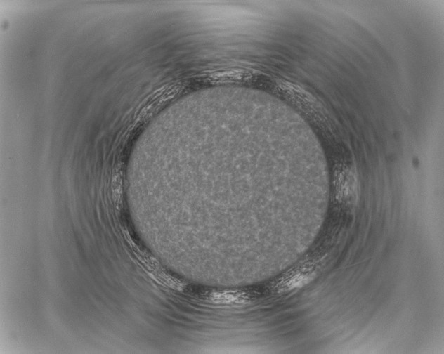 X0000058760753200510211657