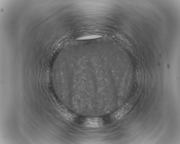 X0000058760757200510211657