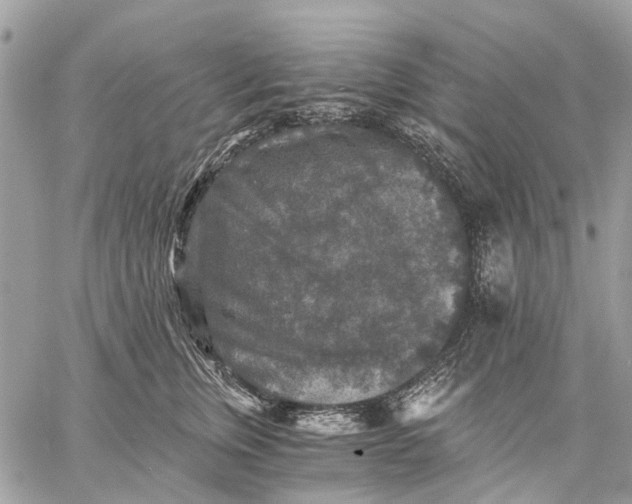 X0000058760759200510211657