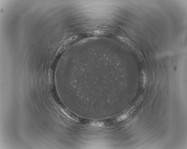 X0000058760760200510211657