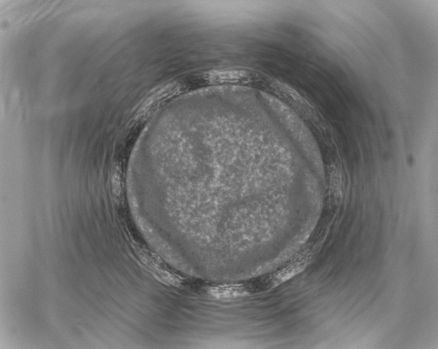 X0000058760761200510211657