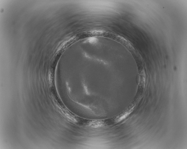 X0000058760762200510211657