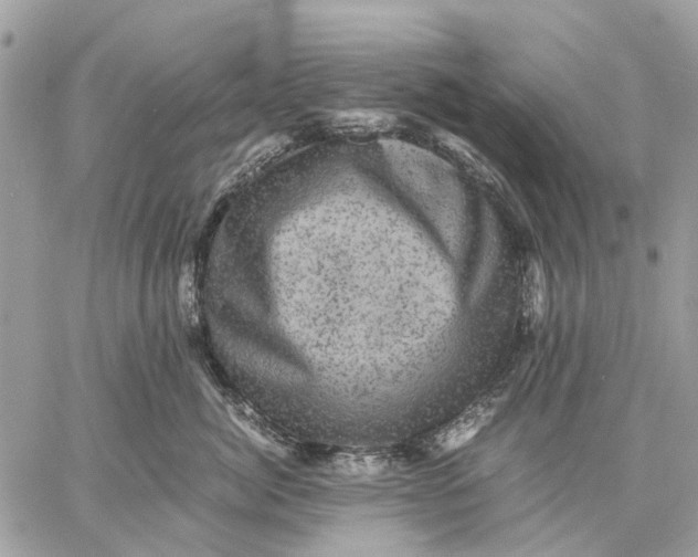 X0000058760764200510211657