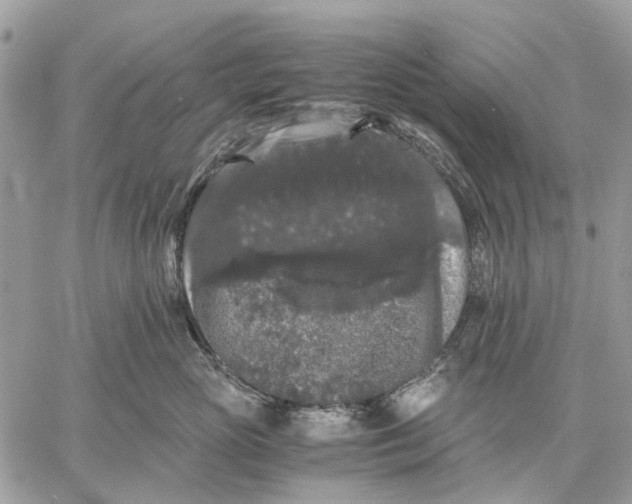 X0000058760765200510211657