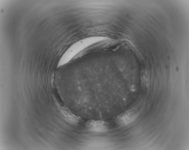 X0000058760767200510211657