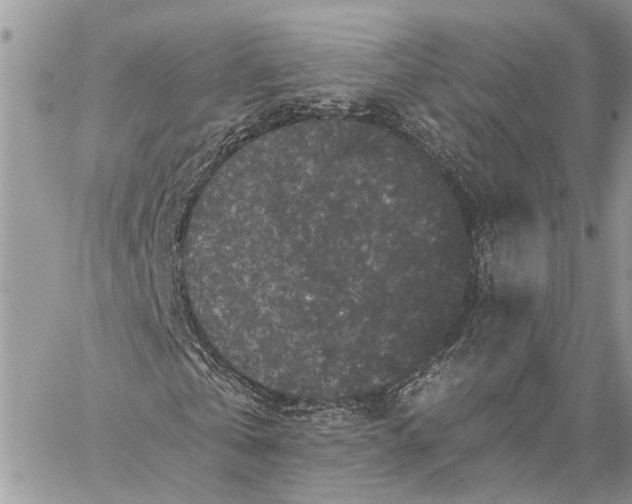 X0000058760769200510211657