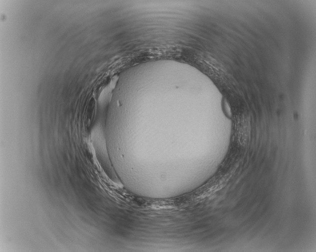 X0000058760770200510211657