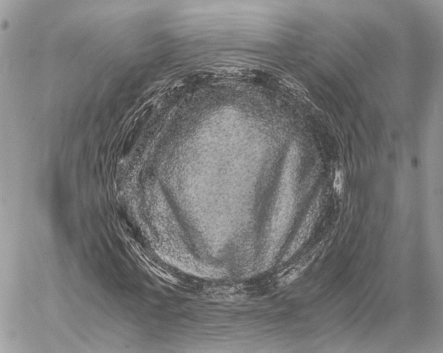 X0000058760771200510211657