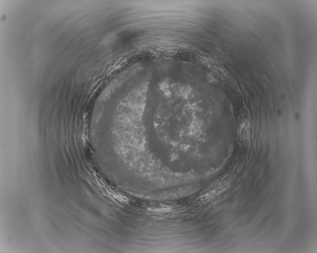 X0000058760772200510211657