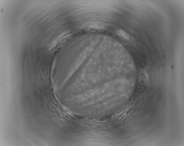 X0000058760774200510211657