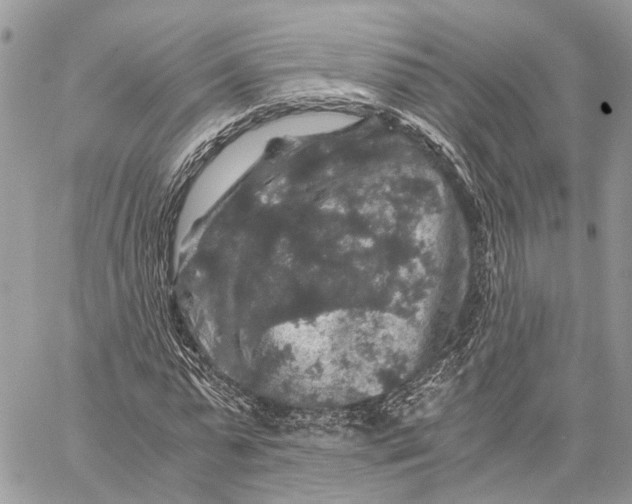 X0000058760775200510211656