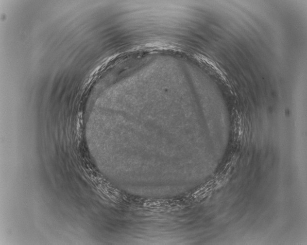 X0000058760776200510211656