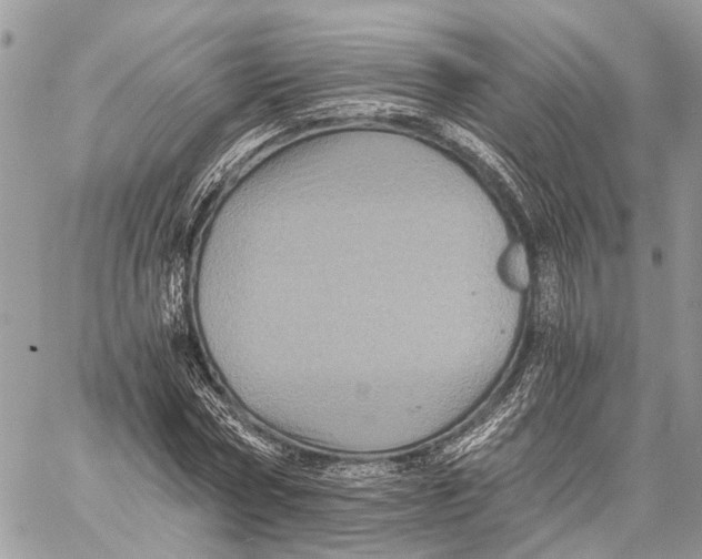 X0000058760778200510211656