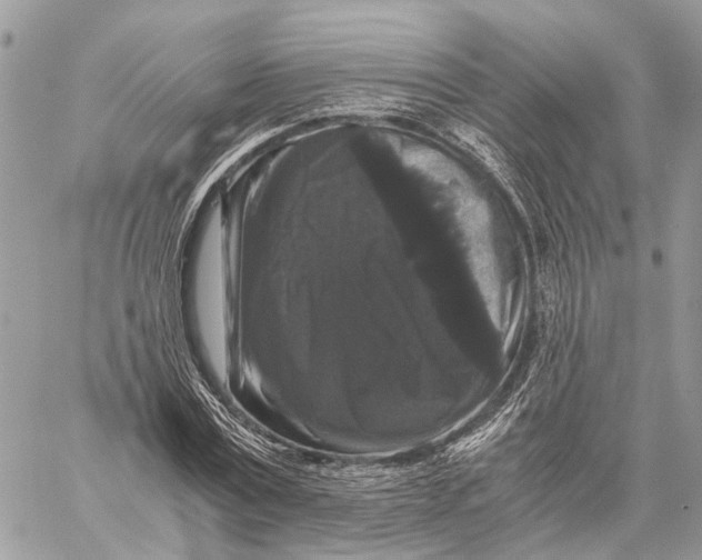 X0000058760779200510211656