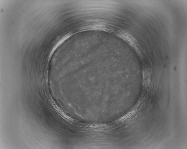 X0000058760780200510211656