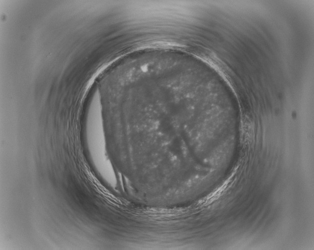 X0000058760783200510211656