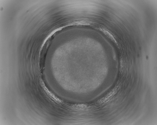 X0000058760784200510211656