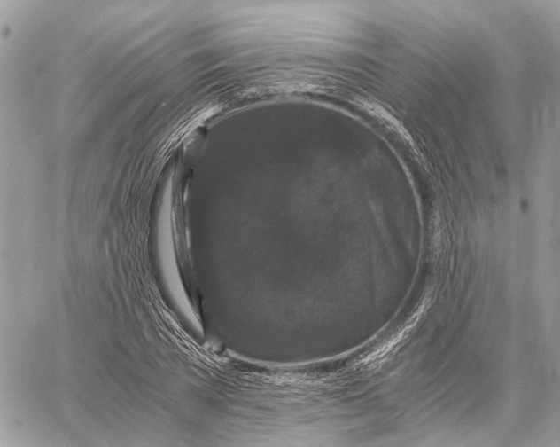 X0000058760785200510211656