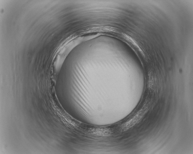 X0000058760786200510211656