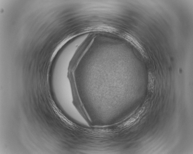 X0000058760788200510211656