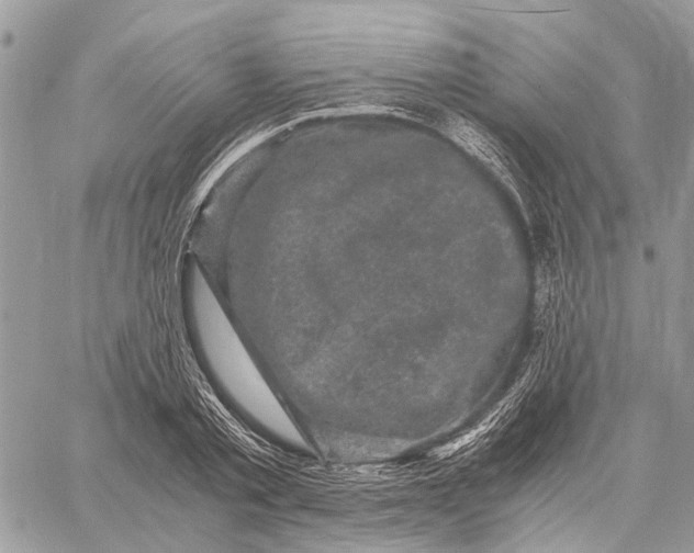 X0000058760789200510211656