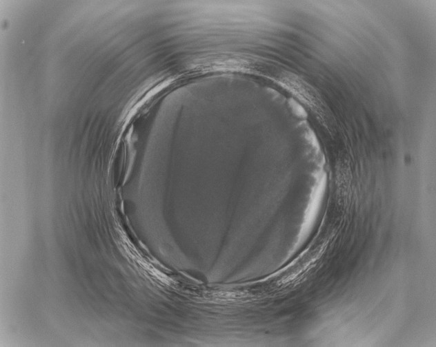 X0000058760790200510211656