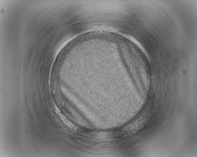 X0000058760791200510211656