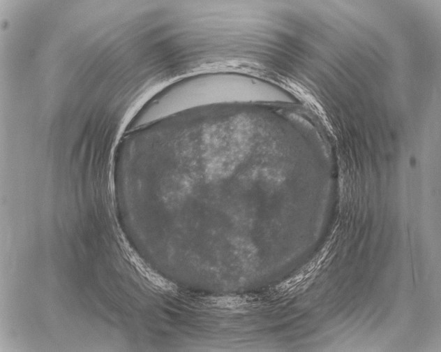 X0000058760792200510211656