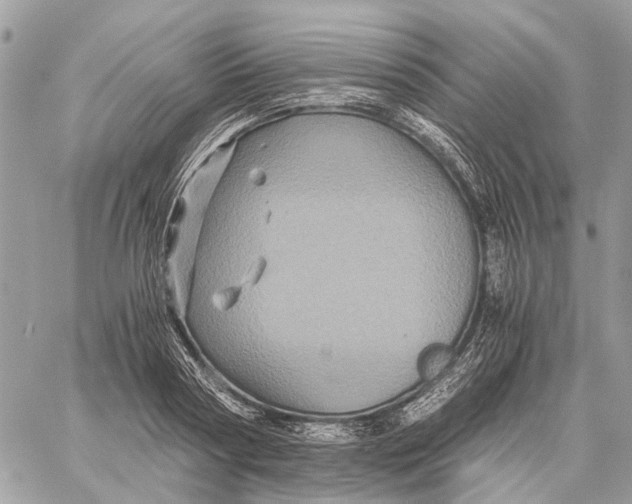 X0000058760794200510211656