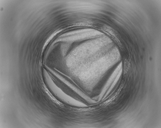 X0000058760796200510211656