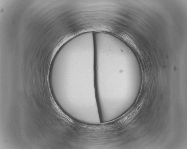 X0000058760797200510211656