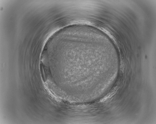 X0000058760799200510211656