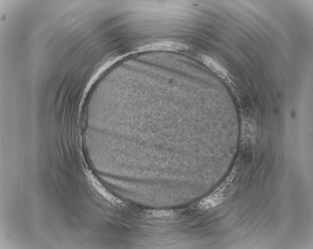 X0000058760800200510211656