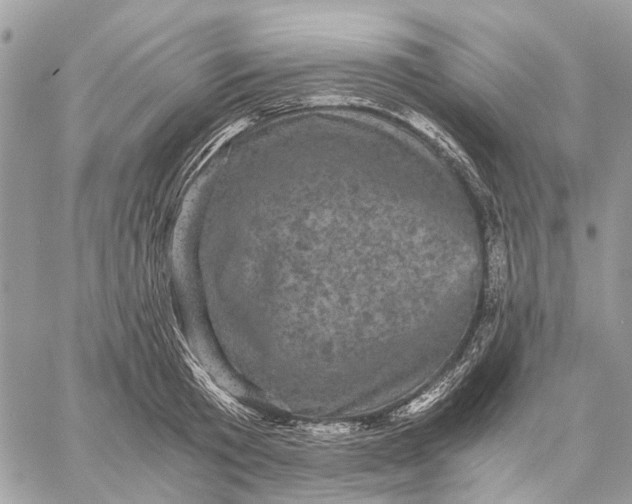 X0000058760801200510211656